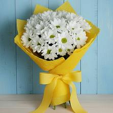Букет цветов из:  Хризантемы в Сергаче