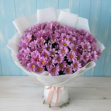 Букет цветов из:  Хризантемы в Сергаче