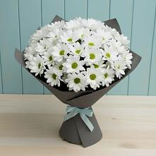 Букет цветов из:  Хризантемы #REPLACE_PRED# Сергаче