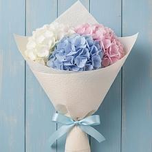 Букет цветов из:  Гортензия в Сергаче