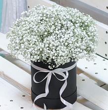 Цветочная композиция из Гипсофила в шляпной коробке #REPLACE_PRED# Сергаче