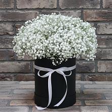 Цветочная композиция из Гипсофила в шляпной коробке #REPLACE_PRED# Сергаче