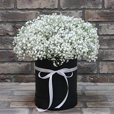 Цветочная композиция из Гипсофила в шляпной коробке в Сергаче