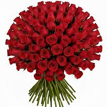 Букет Красные розы Чери Лав в Сергаче