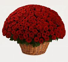 Премиум букет из: Розы в Сергаче