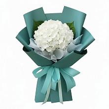Букет цветов из:  Гортензия в Сергаче